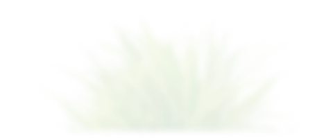 pattern05